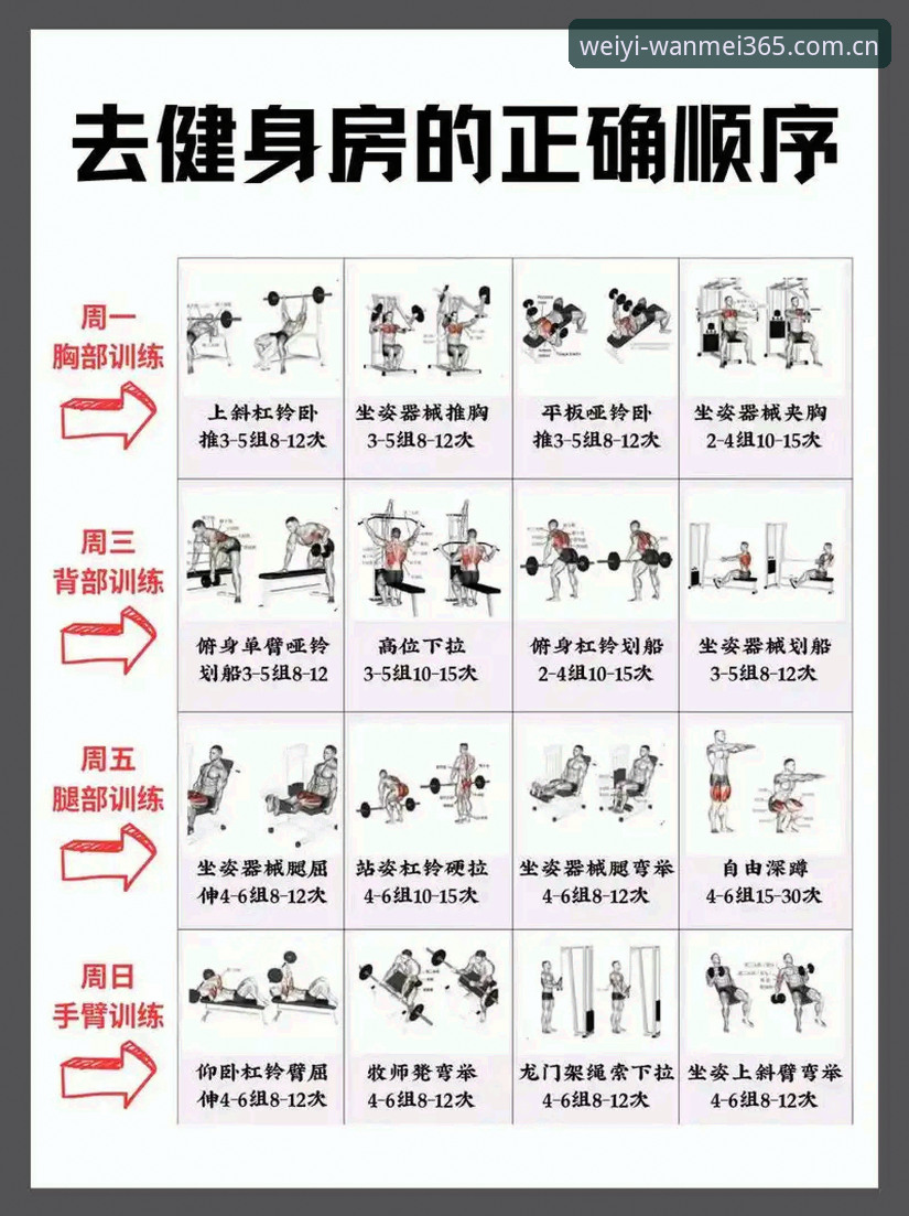 完美体育365平台 完美体育365平台使用教程:从入门到精通的完整操作指南